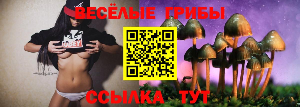 Псилоцибиновые грибы ЛСД  Вход с VPN  Серпухов 